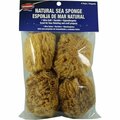 Dynamic Natural Artist and Craft Sea Sponges 4 in., 4PK 00034